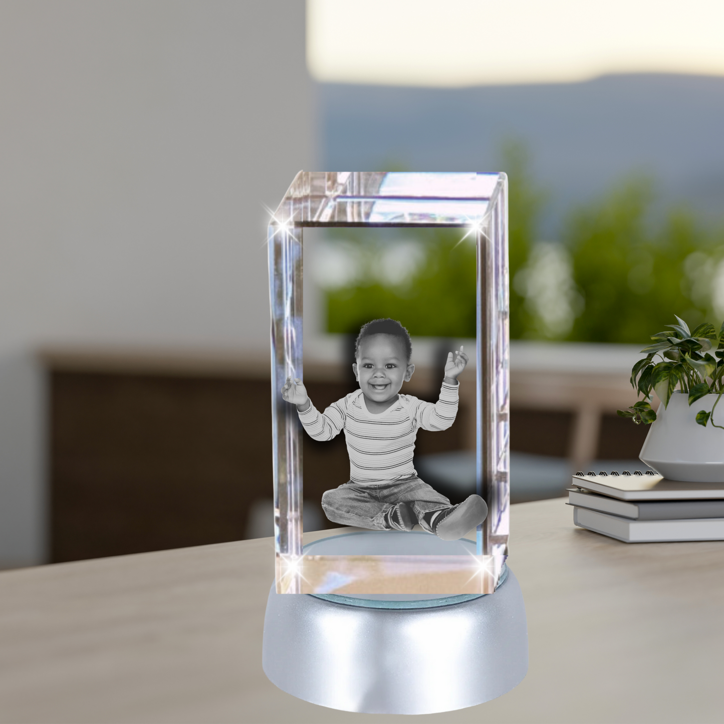 3D Crystal Portrait LARGE
