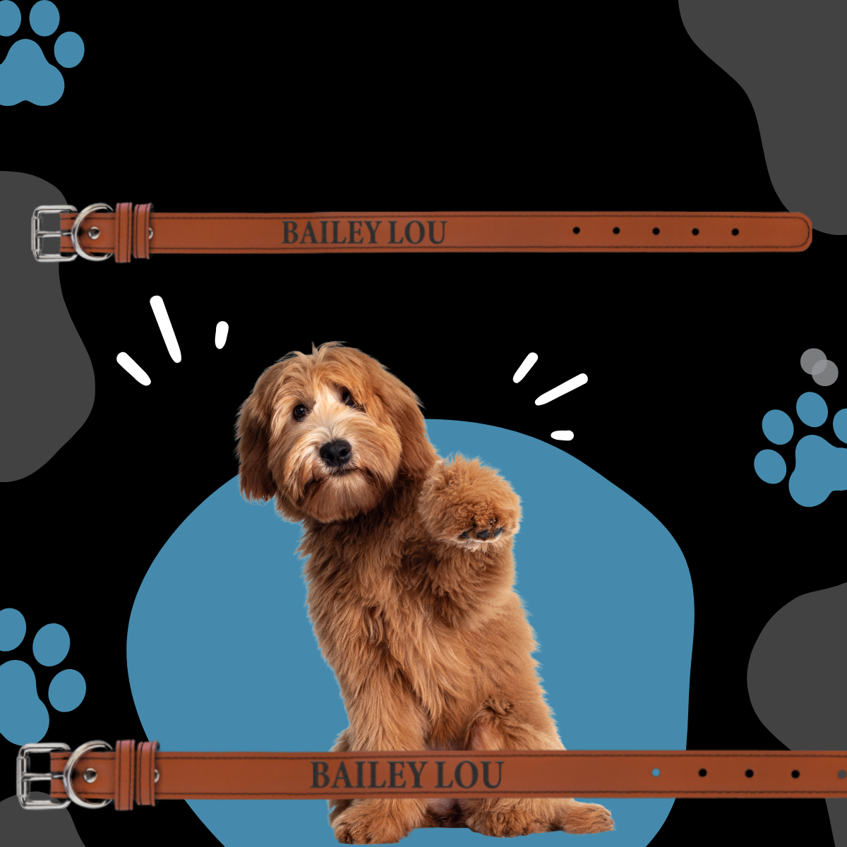Dog Collar Leatherette Medium 19" x 1" in variety of colors to choose from