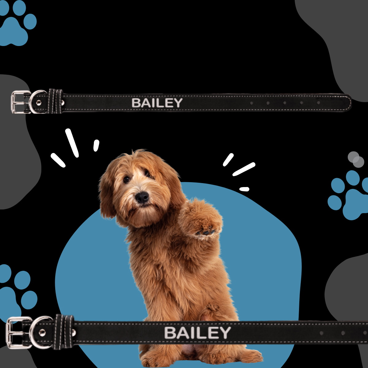Dog Collar Leatherette Medium 19" x 1" in variety of colors to choose from