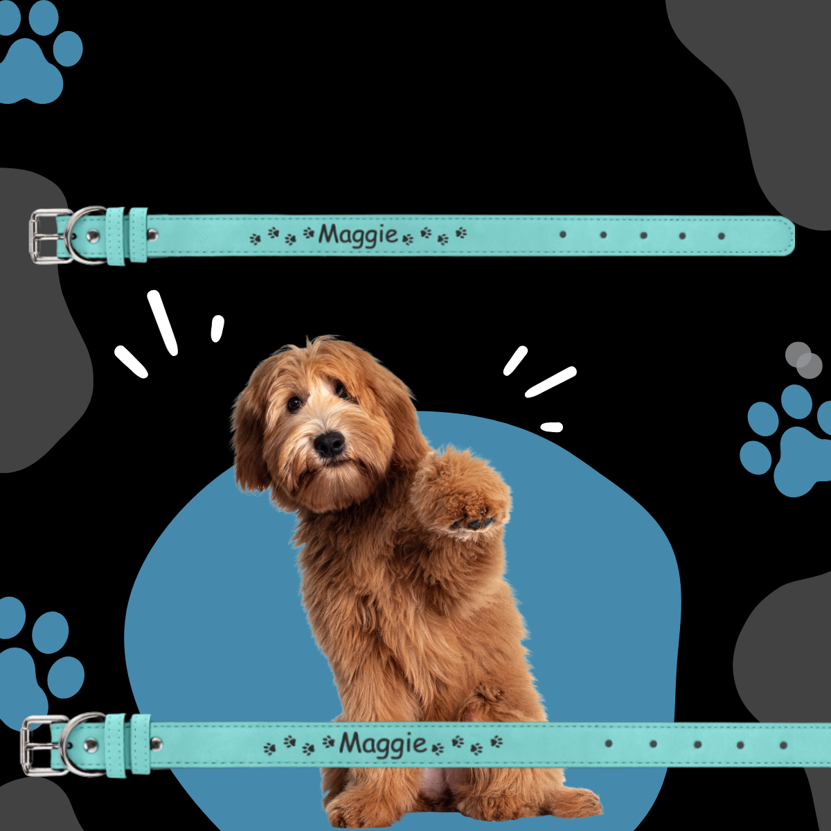 Dog Collar Leatherette Medium 19" x 1" in variety of colors to choose from