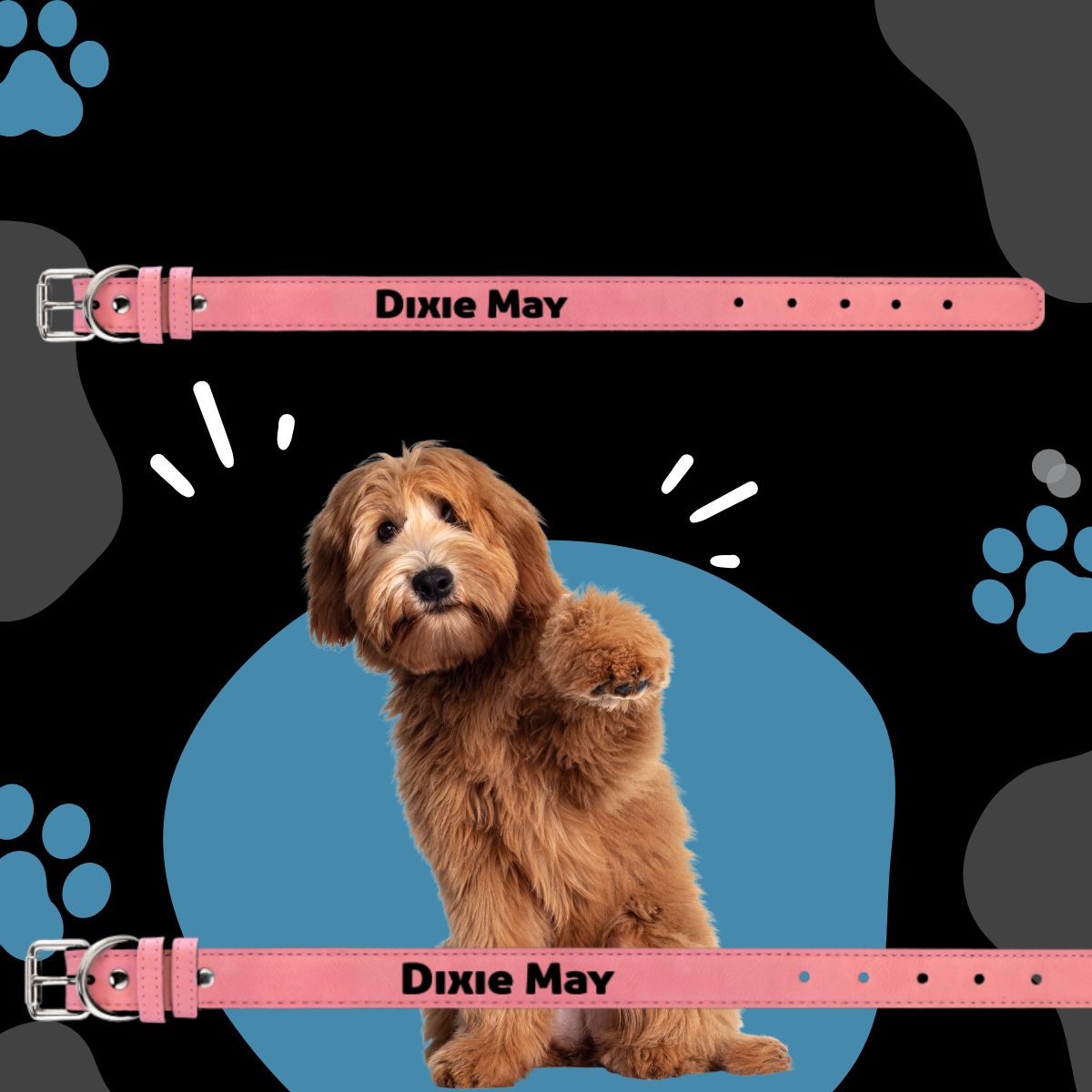 Dog Collar Leatherette Medium 19" x 1" in variety of colors to choose from