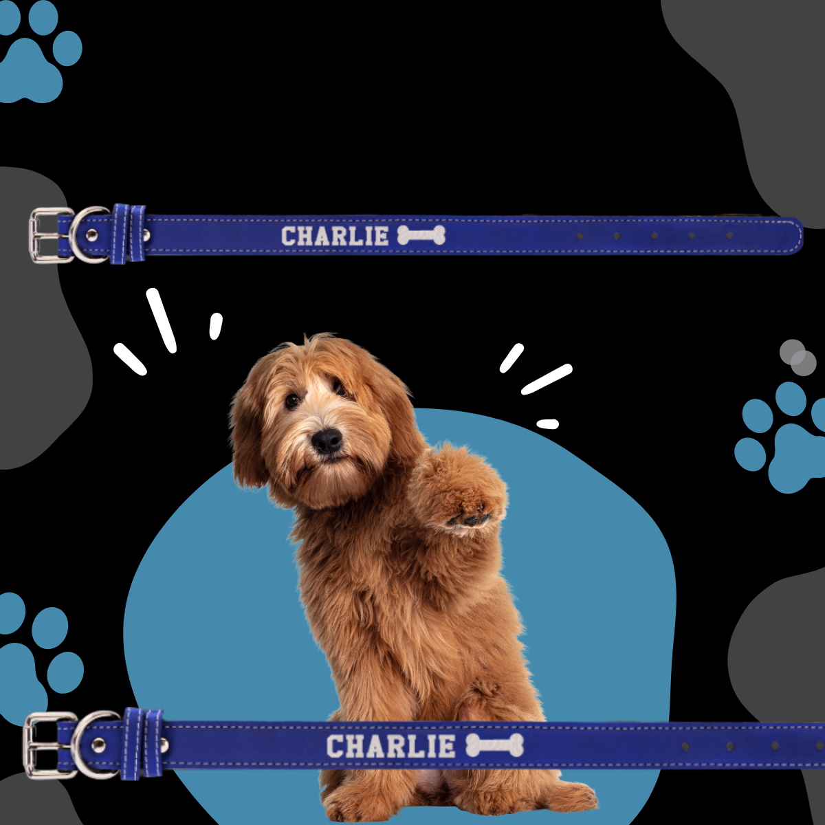 Dog Collar Leatherette Medium 19" x 1" in variety of colors to choose from