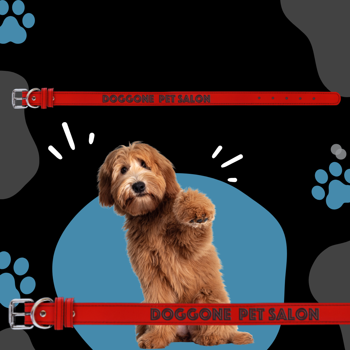 Dog Collar Leatherette Medium 19" x 1" in variety of colors to choose from