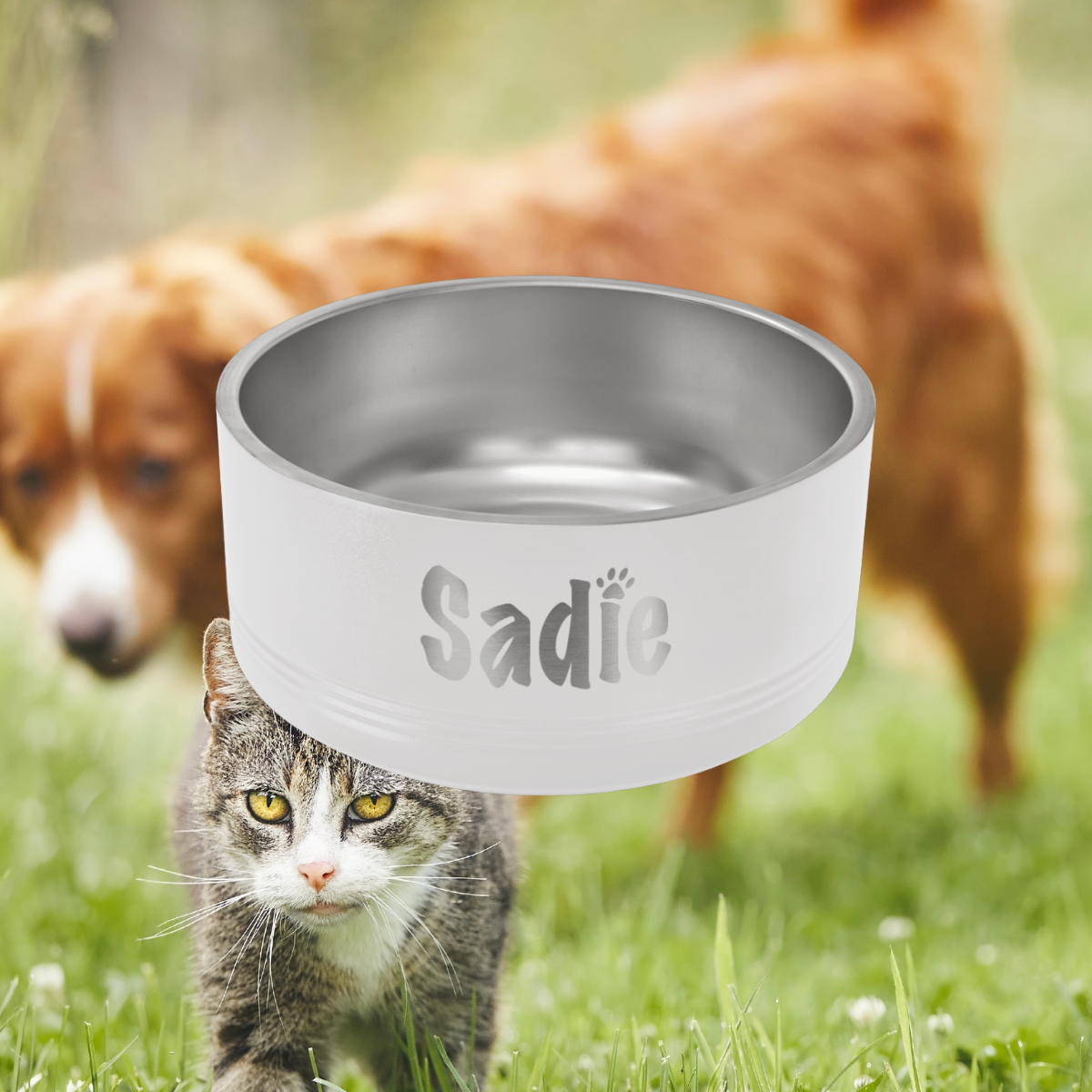 Polar Camel 64 oz. Large Black Pet Bowl