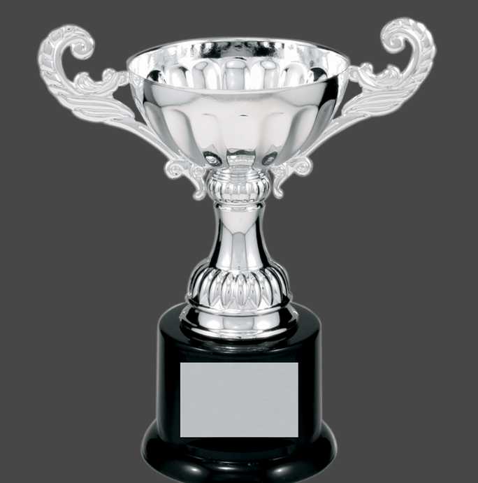 6 1/2" Silver Completed Metal Cup Trophy on Plastic Base