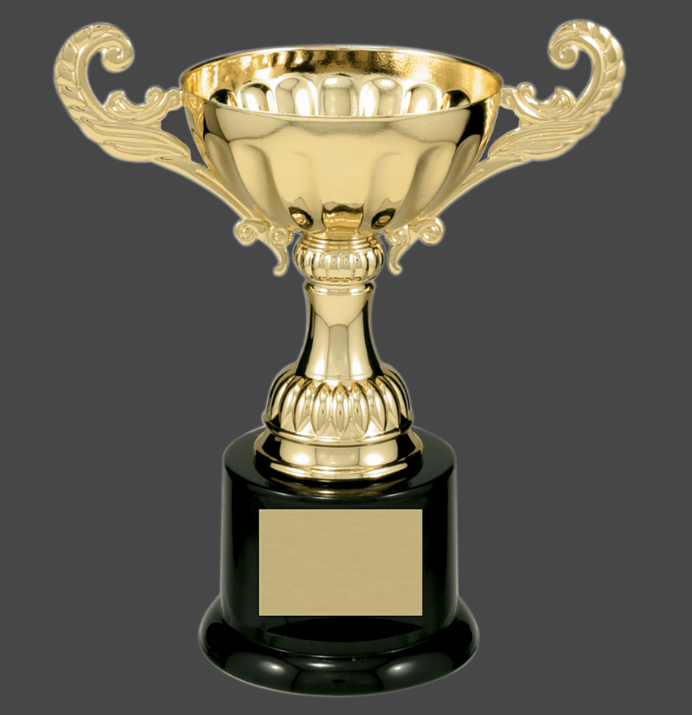 6 1/2" Gold Completed Metal Cup Trophy on Plastic Base