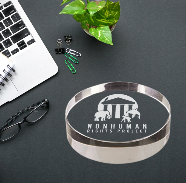 Crystal Clear 3D Round Paperweight