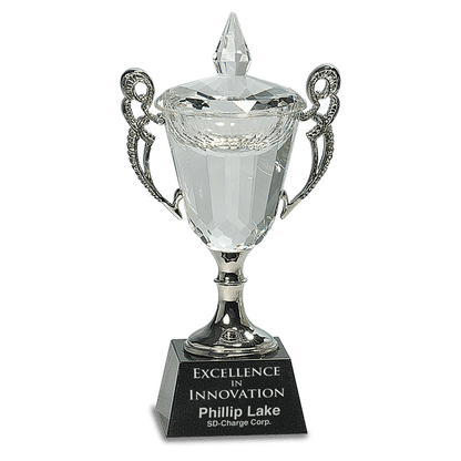 8" Crystal Cup with Silver Handles and Stem