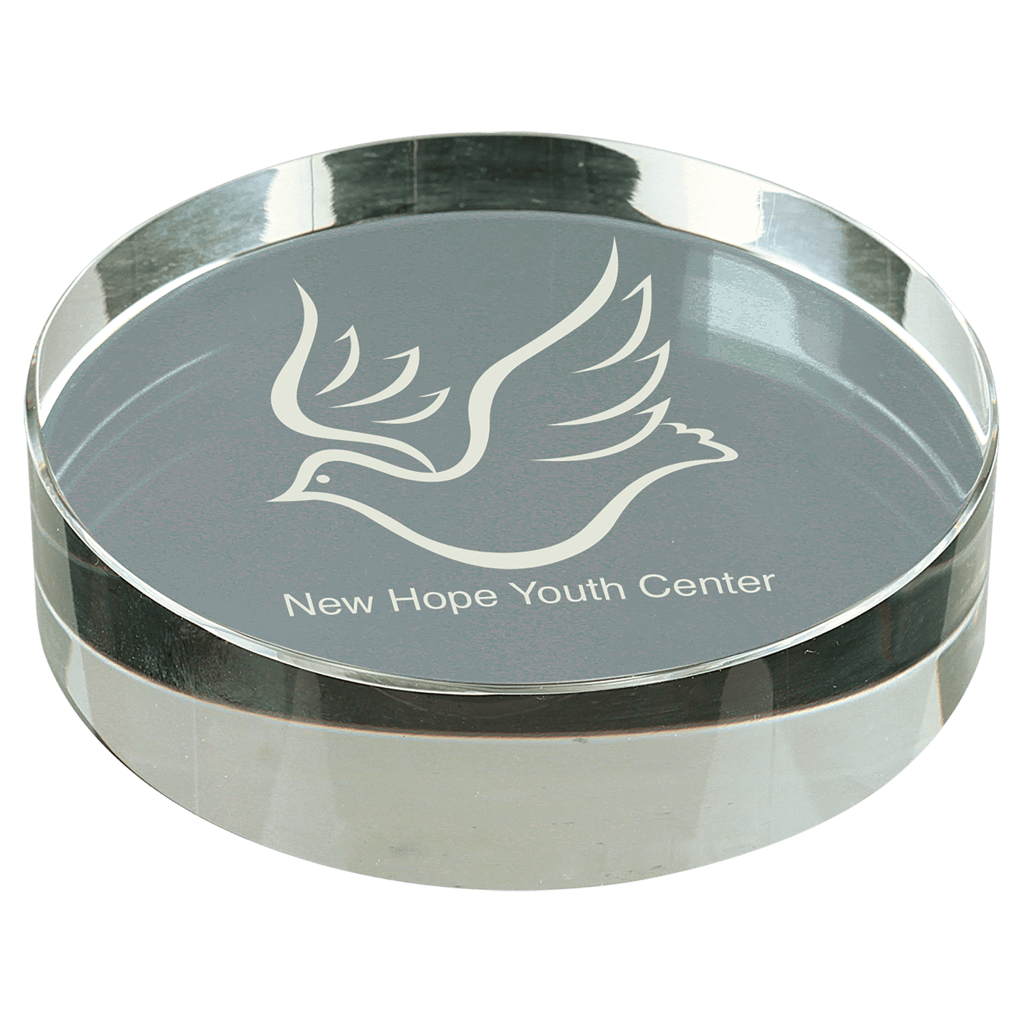 Crystal Clear 3D Round Paperweight