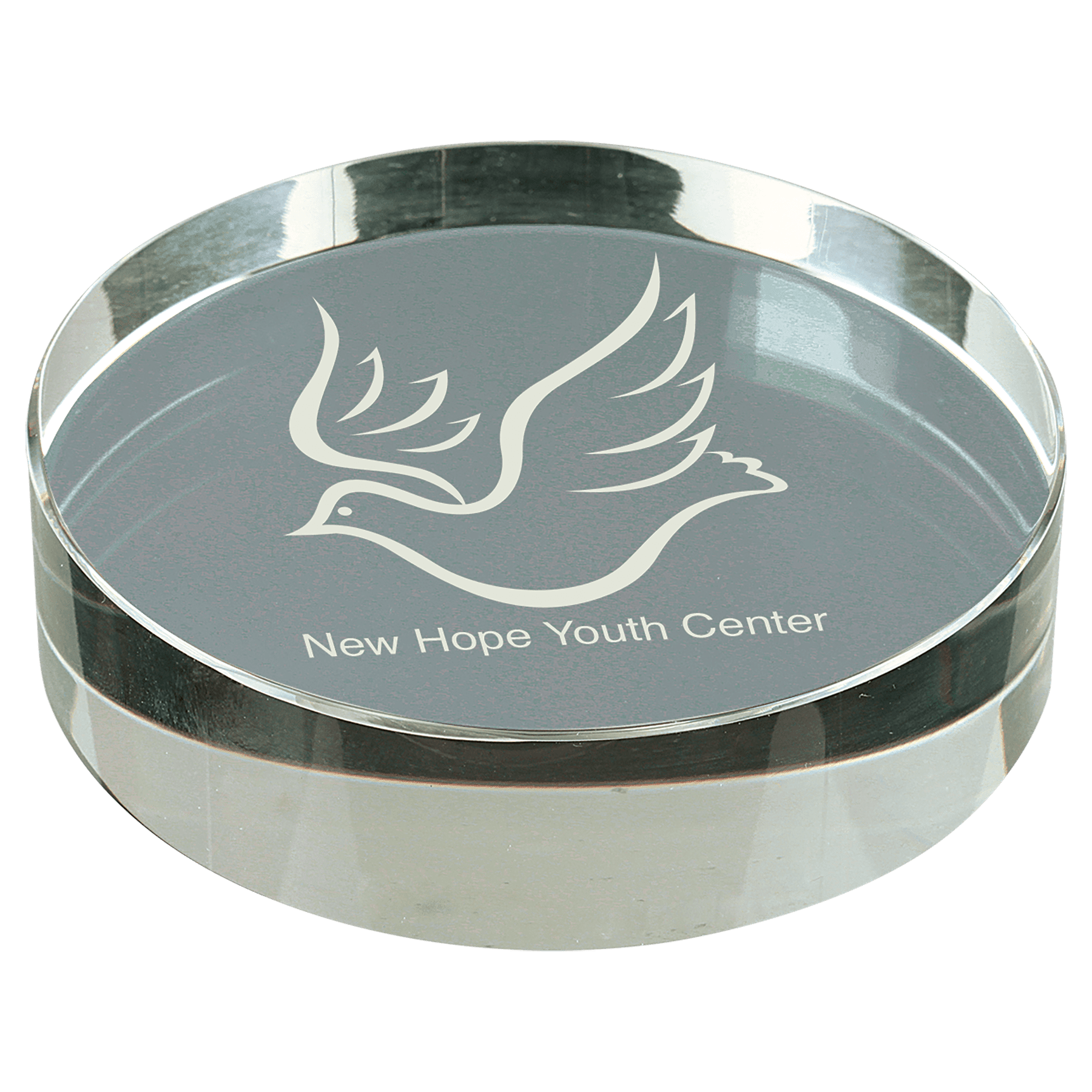 Crystal Clear 3D Round Paperweight