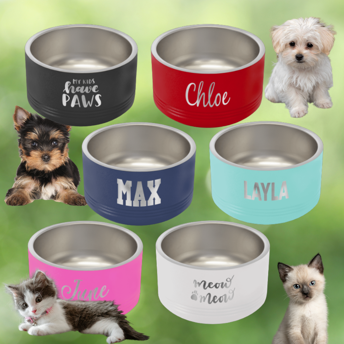 Polar Camel 18 oz. Small Black Pet Bowl