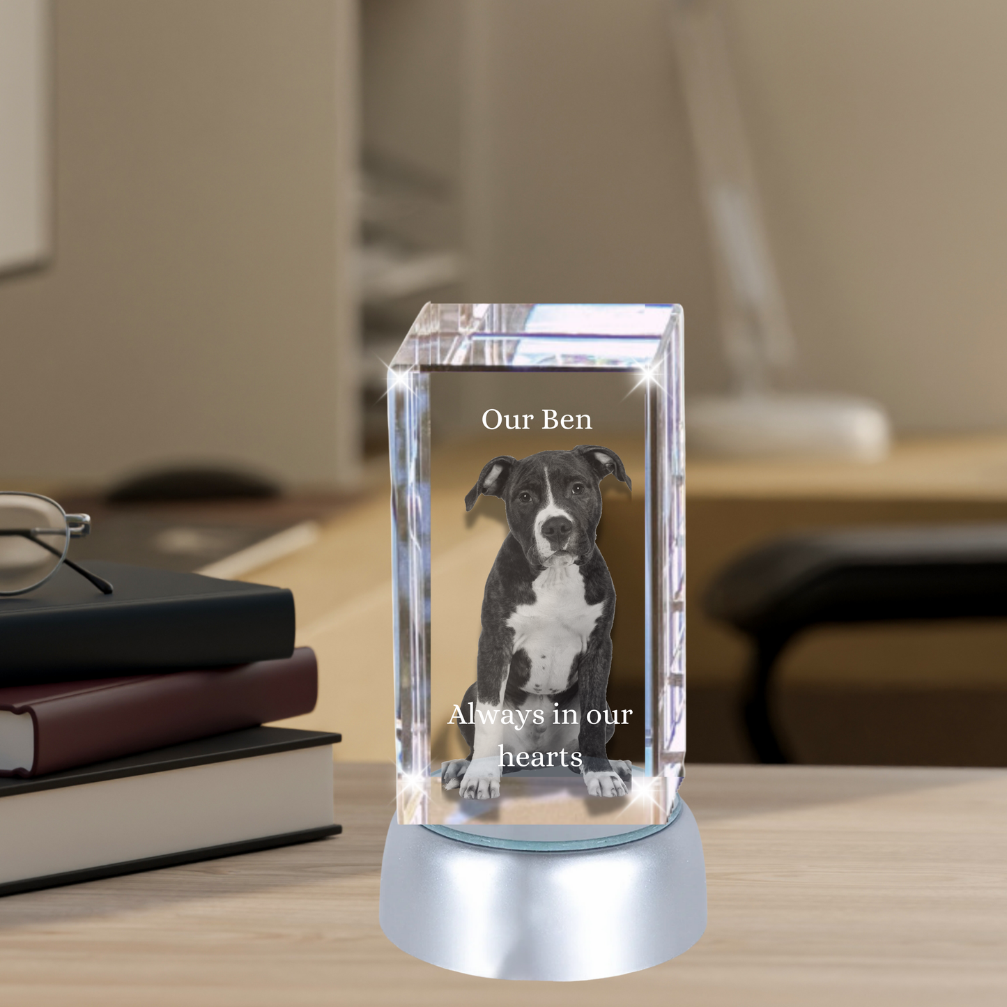 3D Crystal Portrait MEDIUM