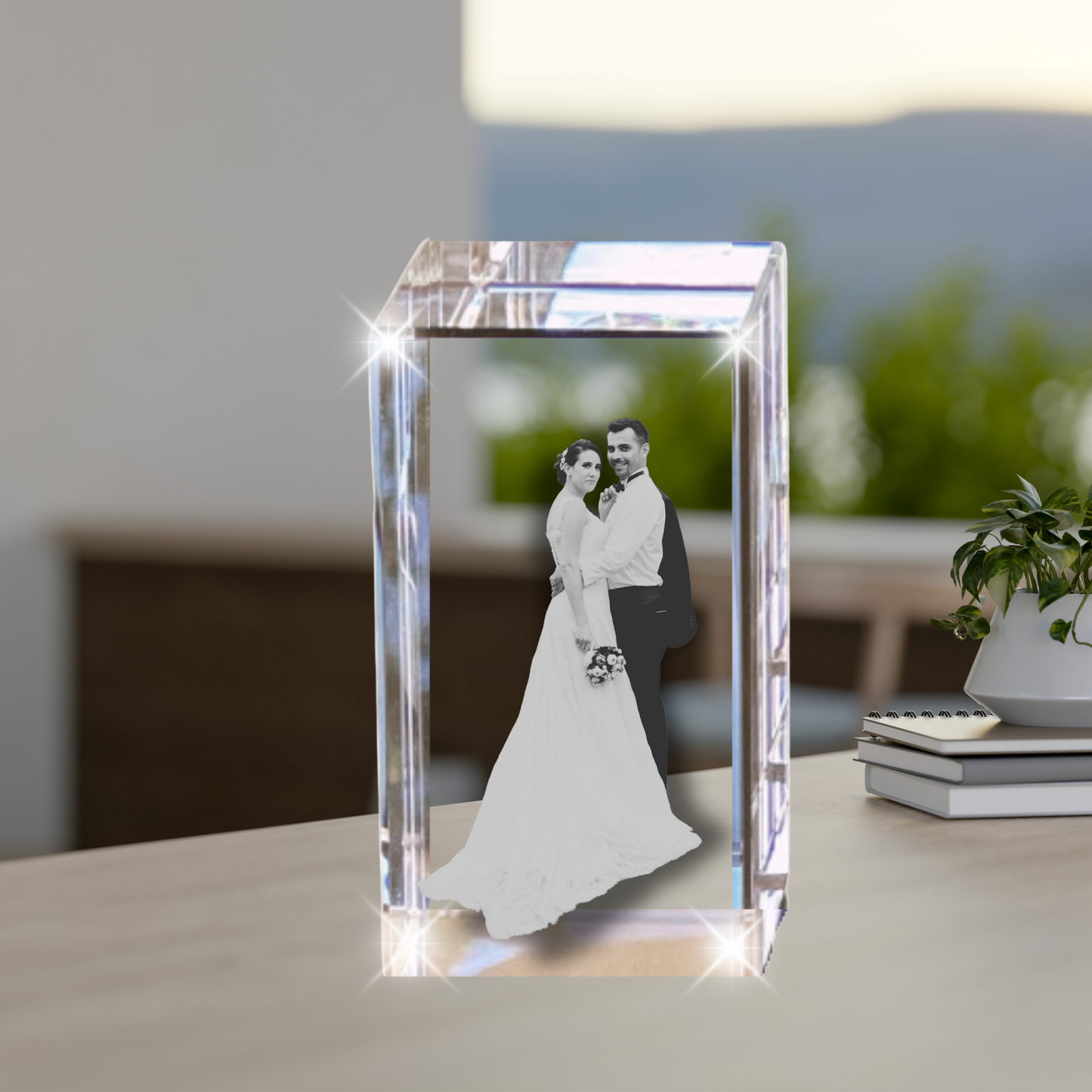 3D Crystal Portrait LARGE