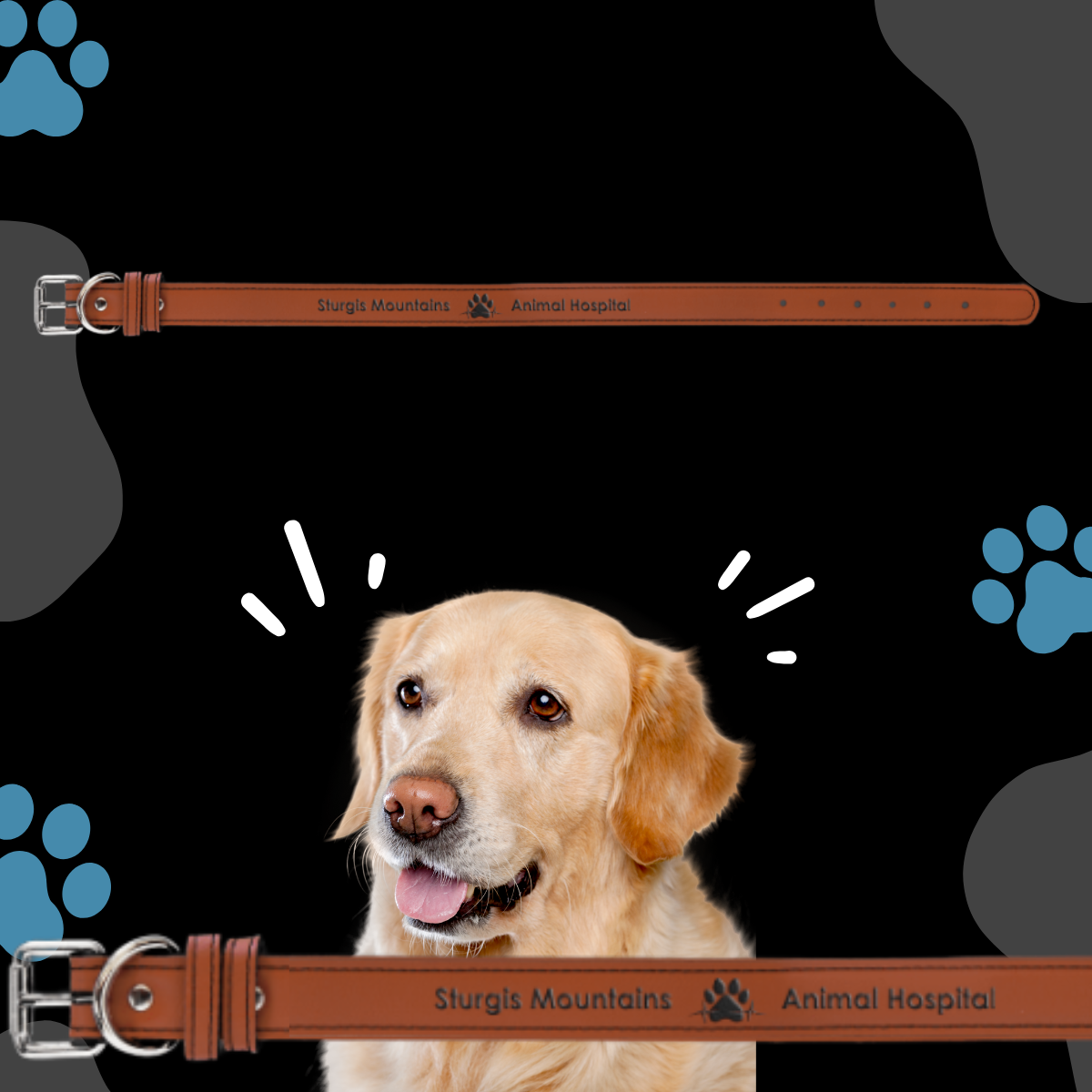 Dog Collar Leatherette XLARGE 27" x 1 1/4"  in variety of colors to choose from