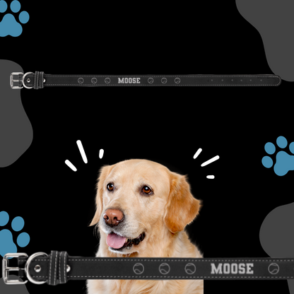 Dog Collar Leatherette XLARGE 27" x 1 1/4"  in variety of colors to choose from