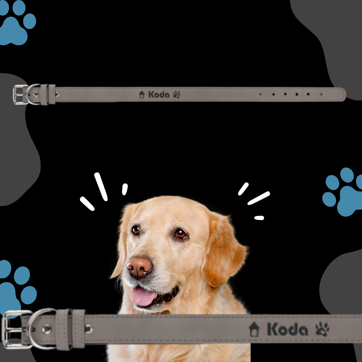 Dog Collar Leatherette XLARGE 27" x 1 1/4"  in variety of colors to choose from