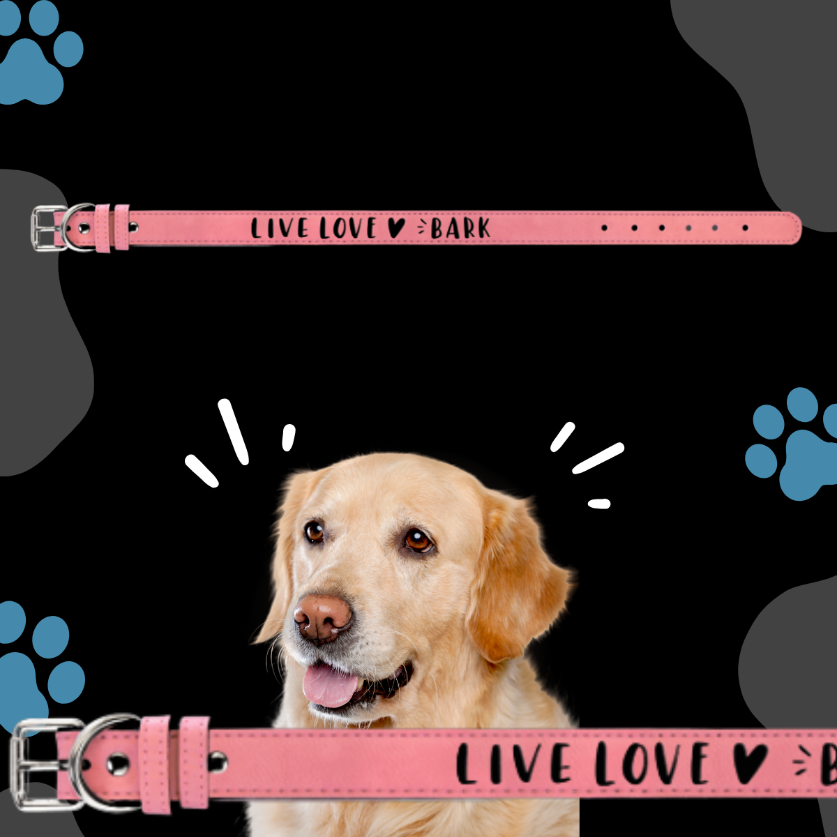 Dog Collar Leatherette XLARGE 27" x 1 1/4"  in variety of colors to choose from