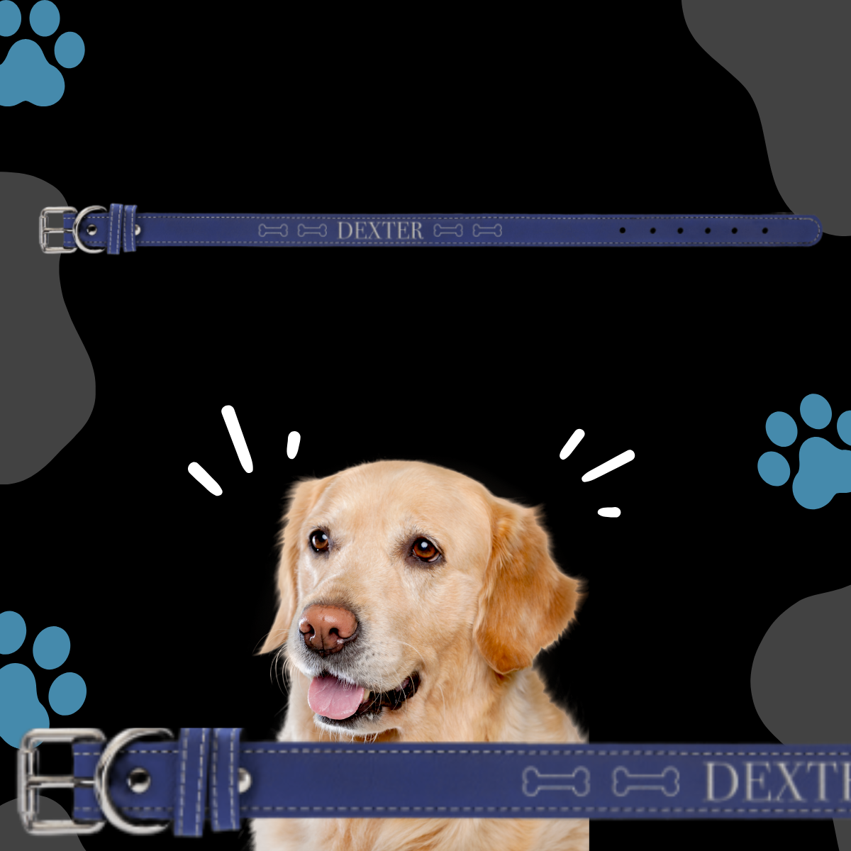 Dog Collar Leatherette XLARGE 27" x 1 1/4"  in variety of colors to choose from