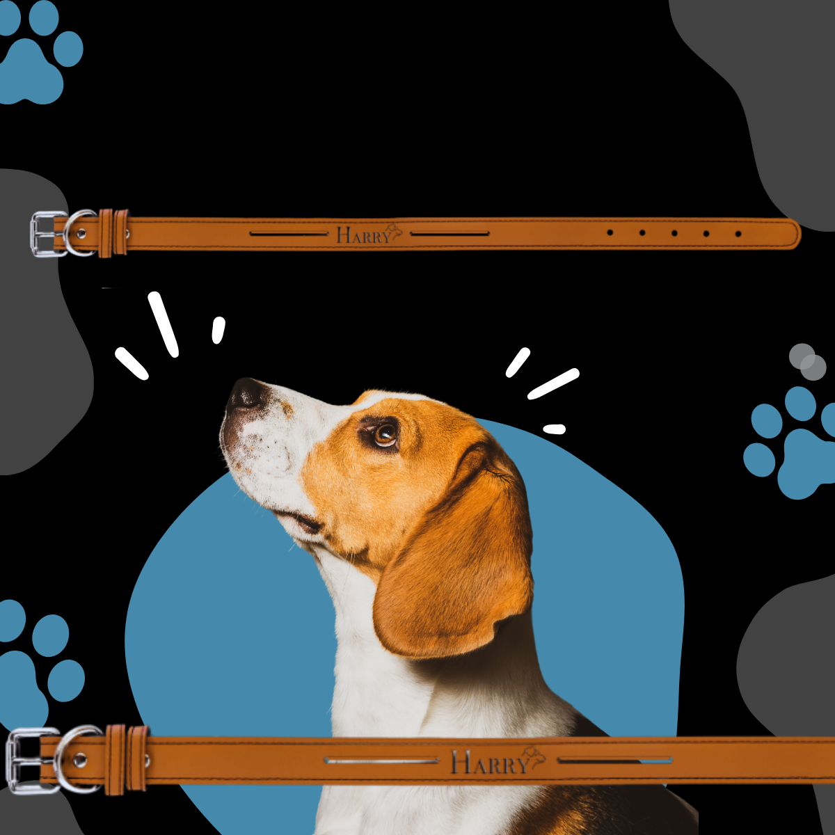 Dog Collar Leatherette Large 22" x 1"  in variety of colors to choose from