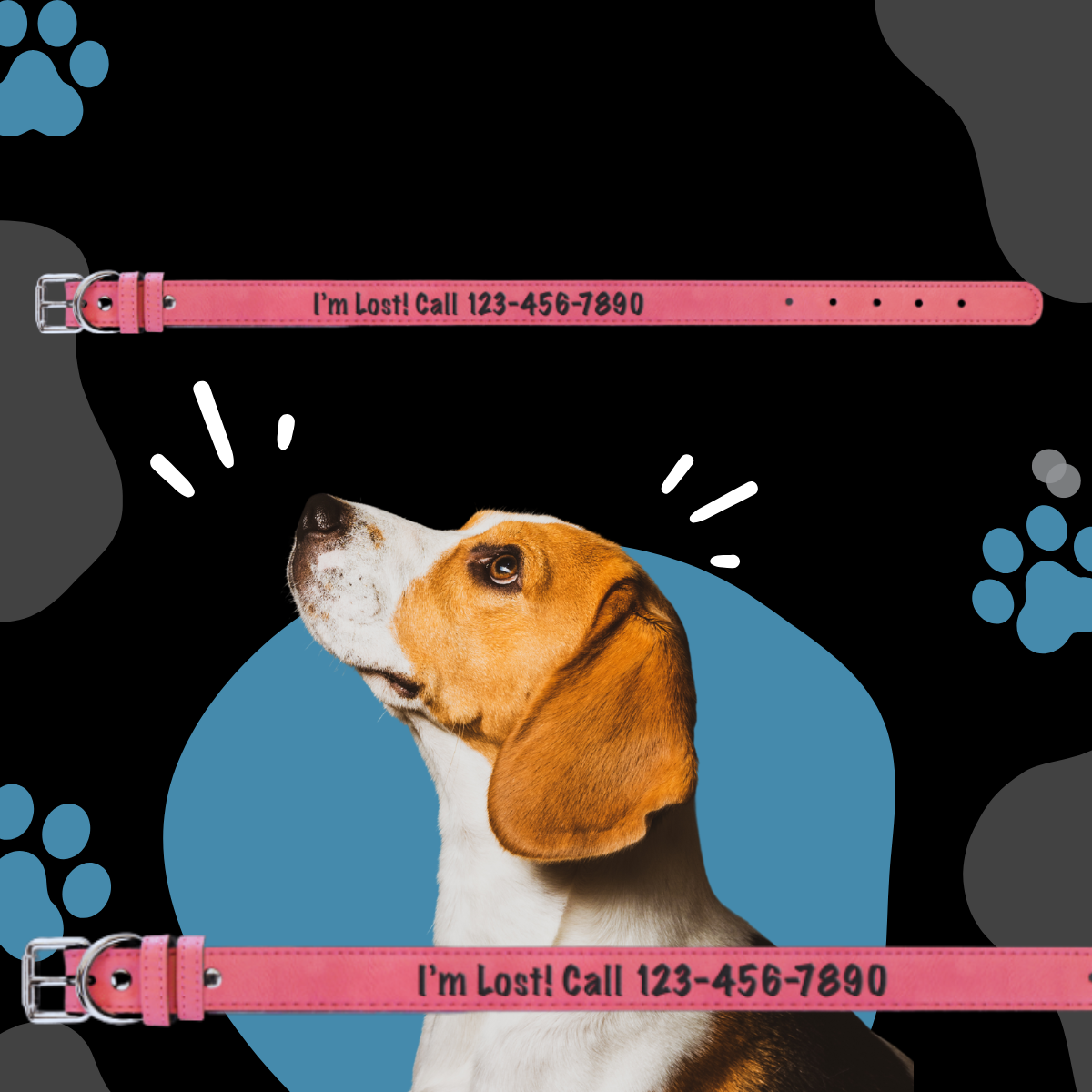 Dog Collar Leatherette Large 22" x 1"  in variety of colors to choose from