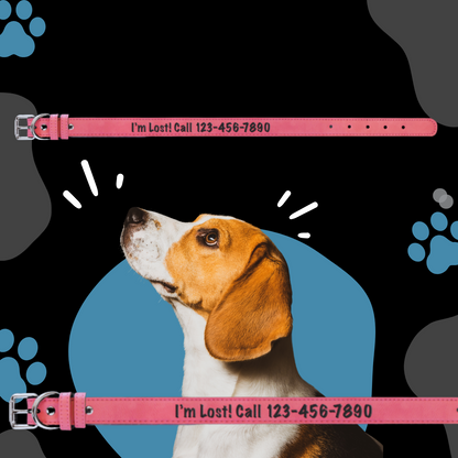 Dog Collar Leatherette Large 22" x 1"  in variety of colors to choose from