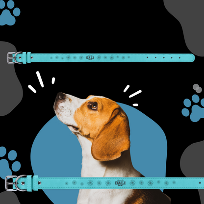Dog Collar Leatherette Large 22" x 1"  in variety of colors to choose from