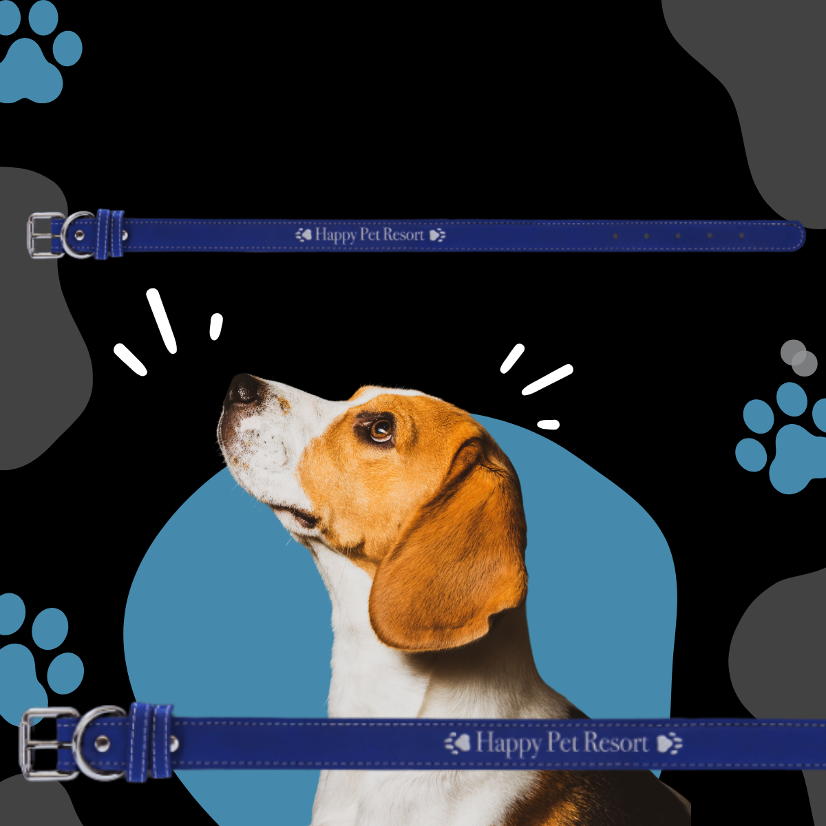 Dog Collar Leatherette Large 22" x 1"  in variety of colors to choose from