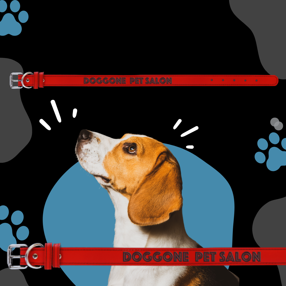 Dog Collar Leatherette Large 22" x 1"  in variety of colors to choose from