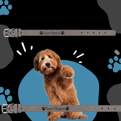 Dog Collar Leatherette Medium 19" x 1"  in variety of colors to choose from