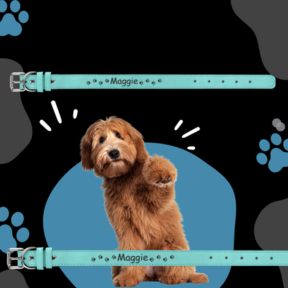 Dog Collar Leatherette Medium 19" x 1"  in variety of colors to choose from