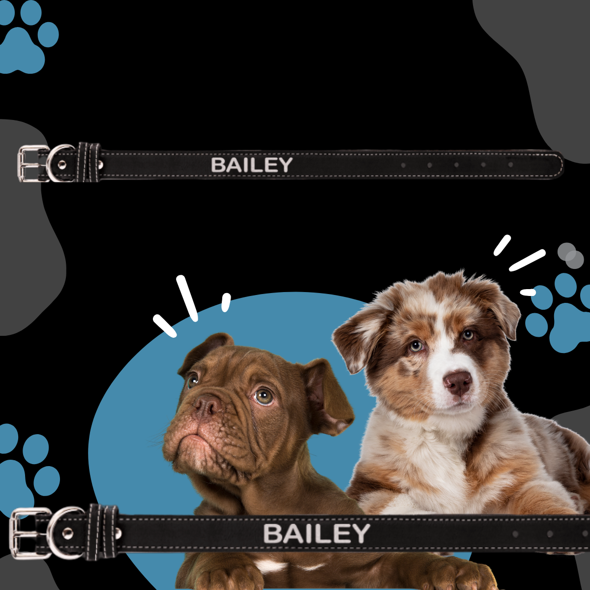 Dog Collar Leatherette Small 15" x 3/4" in variety of colors to choose from