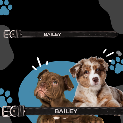 Dog Collar Leatherette Small 15" x 3/4" in variety of colors to choose from