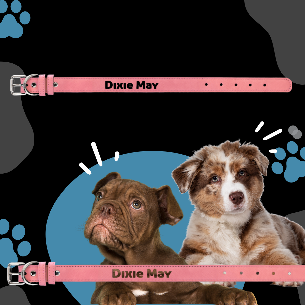 Dog Collar Leatherette Small 15" x 3/4" in variety of colors to choose from