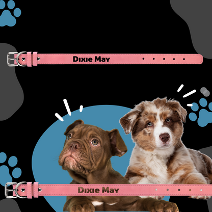 Dog Collar Leatherette Small 15" x 3/4" in variety of colors to choose from