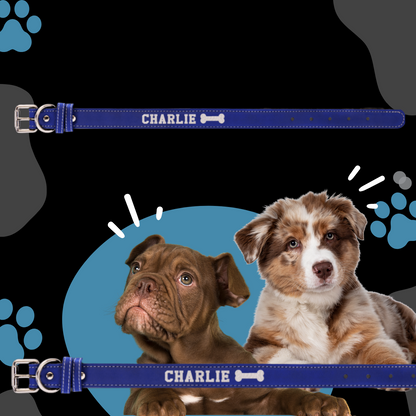 Dog Collar Leatherette Small 15" x 3/4" in variety of colors to choose from