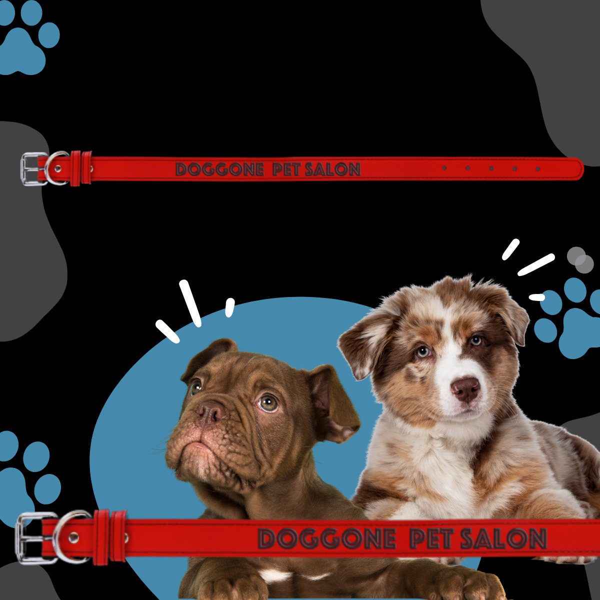 Dog Collar Leatherette Small 15" x 3/4" in variety of colors to choose from