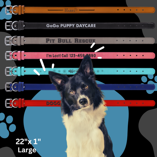 Dog Collar Leatherette Medium 19" x 1"  in variety of colors to choose from