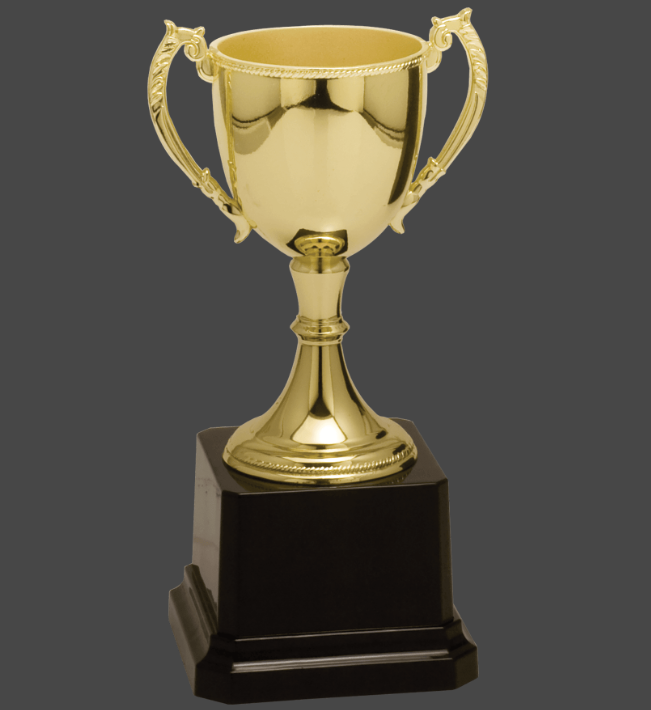 6 3/4" Gold Completed Zinc Cup Trophy