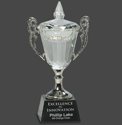 8" Crystal Cup with Silver Handles and Stem