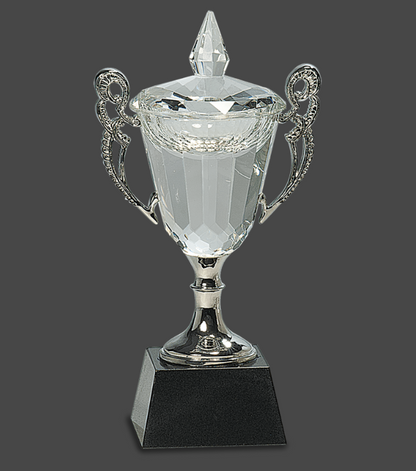 8" Crystal Cup with Silver Handles and Stem