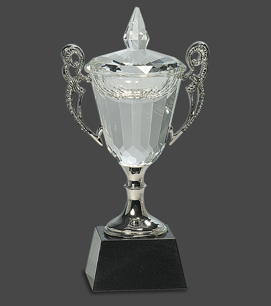 8" Crystal Cup with Silver Handles and Stem