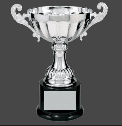 8 1/2" Silver Completed Metal Cup Trophy on Plastic Base