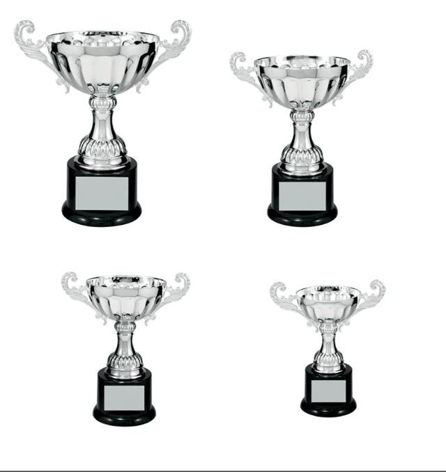 8 1/2" Silver Completed Metal Cup Trophy on Plastic Base