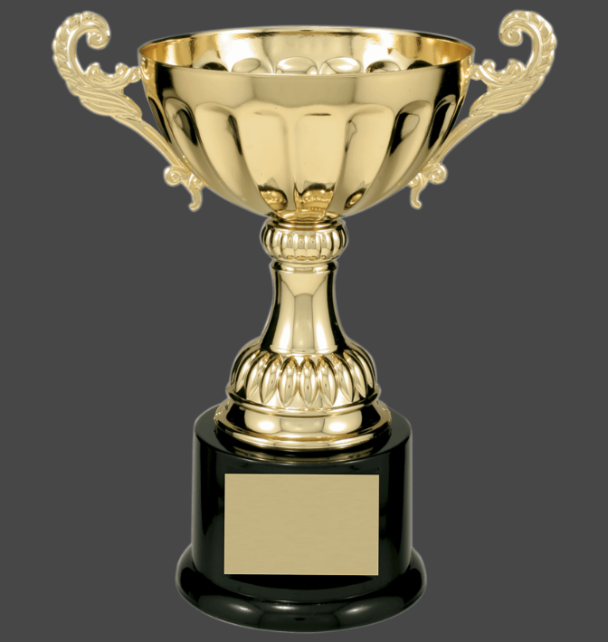8 1/2" Gold Completed Metal Cup Trophy on Plastic Base