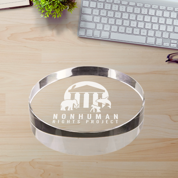 Crystal Clear 3D Round Paperweight