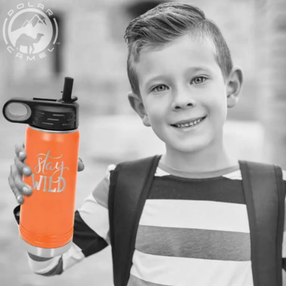 Polar Camel Stainless Steel Water Bottle 20 oz.